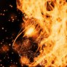 Lionfire