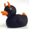 duck666