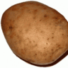 Potato